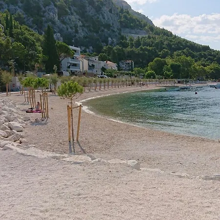 Nasta * Omis